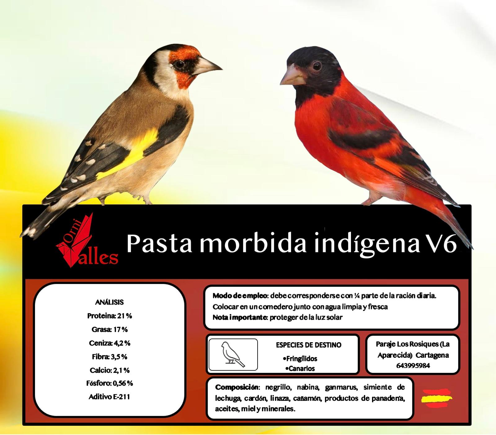 Pasta de Cría Indígena V6